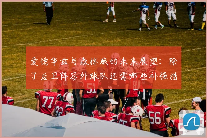 爱德华兹与森林狼的未来展望：除了后卫阵容外球队还需哪些补强措施
