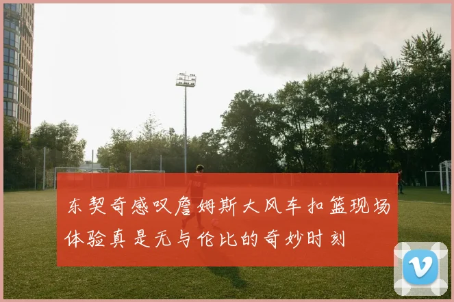 东契奇感叹詹姆斯大风车扣篮现场体验真是无与伦比的奇妙时刻