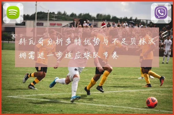 科瓦奇分析多特优势与不足贝林汉姆需进一步适应球队节奏